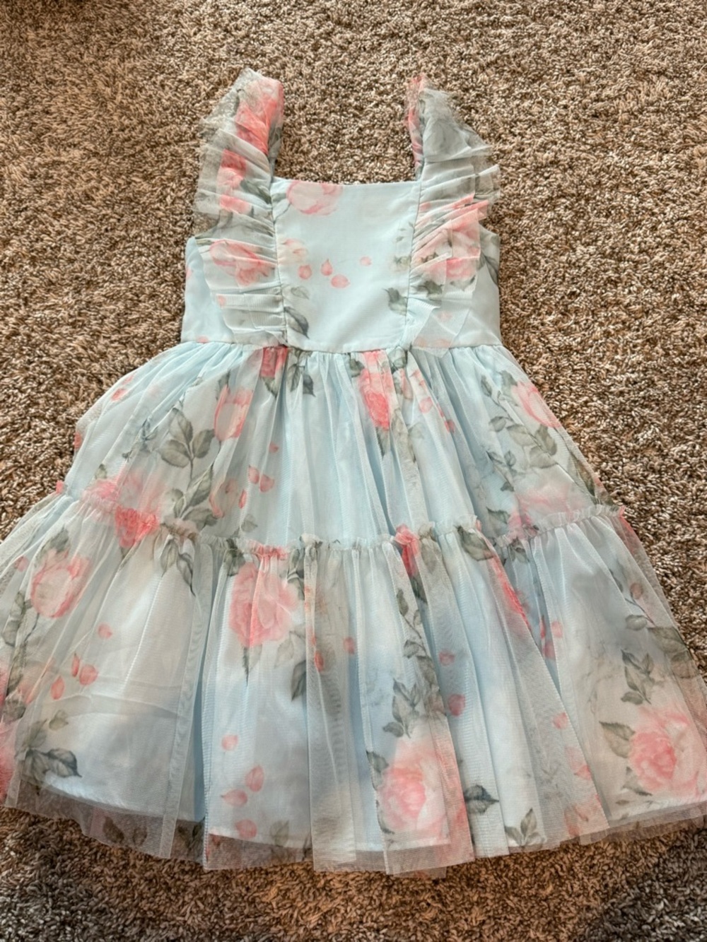 Rare Editions Light Blue Floral Tulle Dress with Pink Roses
